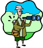 Bird Watching